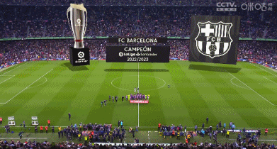 迪马：国米夏天也曾问价拉比奥，但因签迪乌夫搁置这一交易